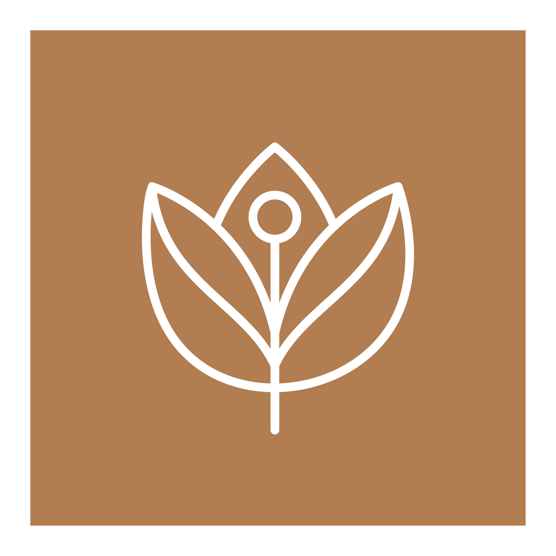 Fernanda Virgínia Logo